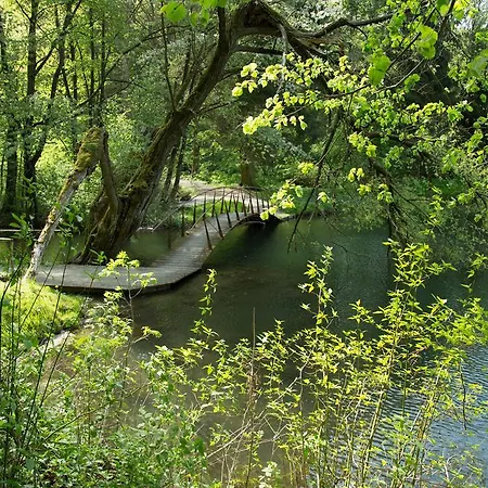 Reifenstein